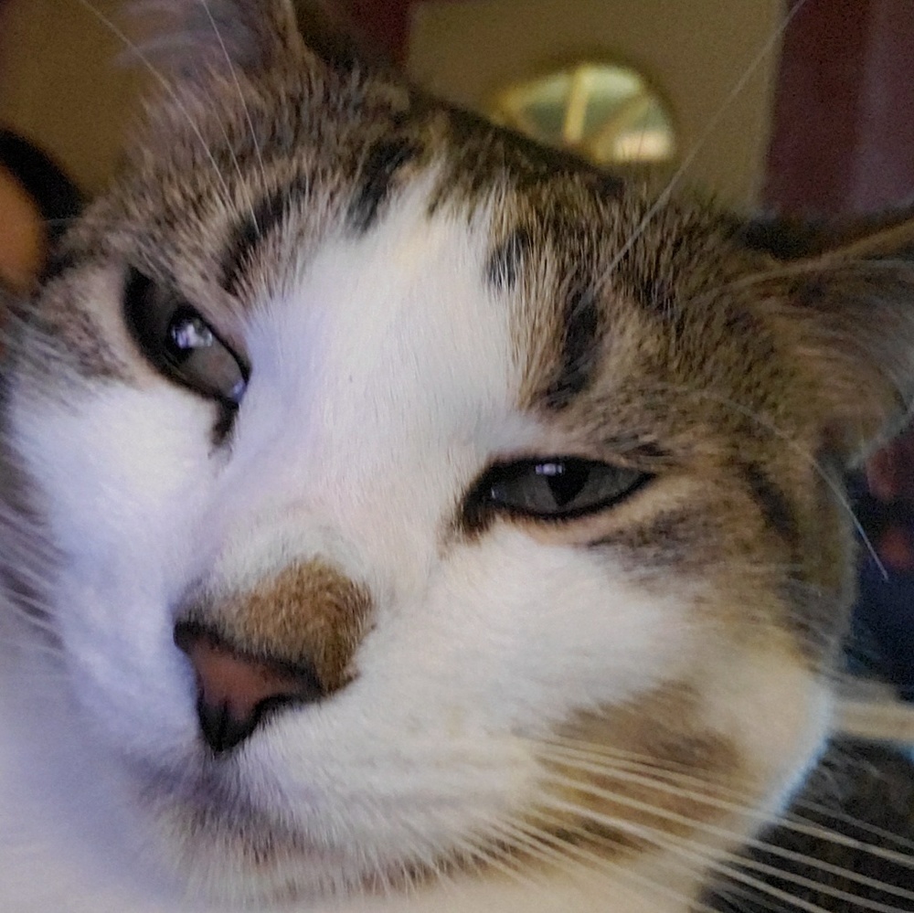 Meet your Posher, Aileen